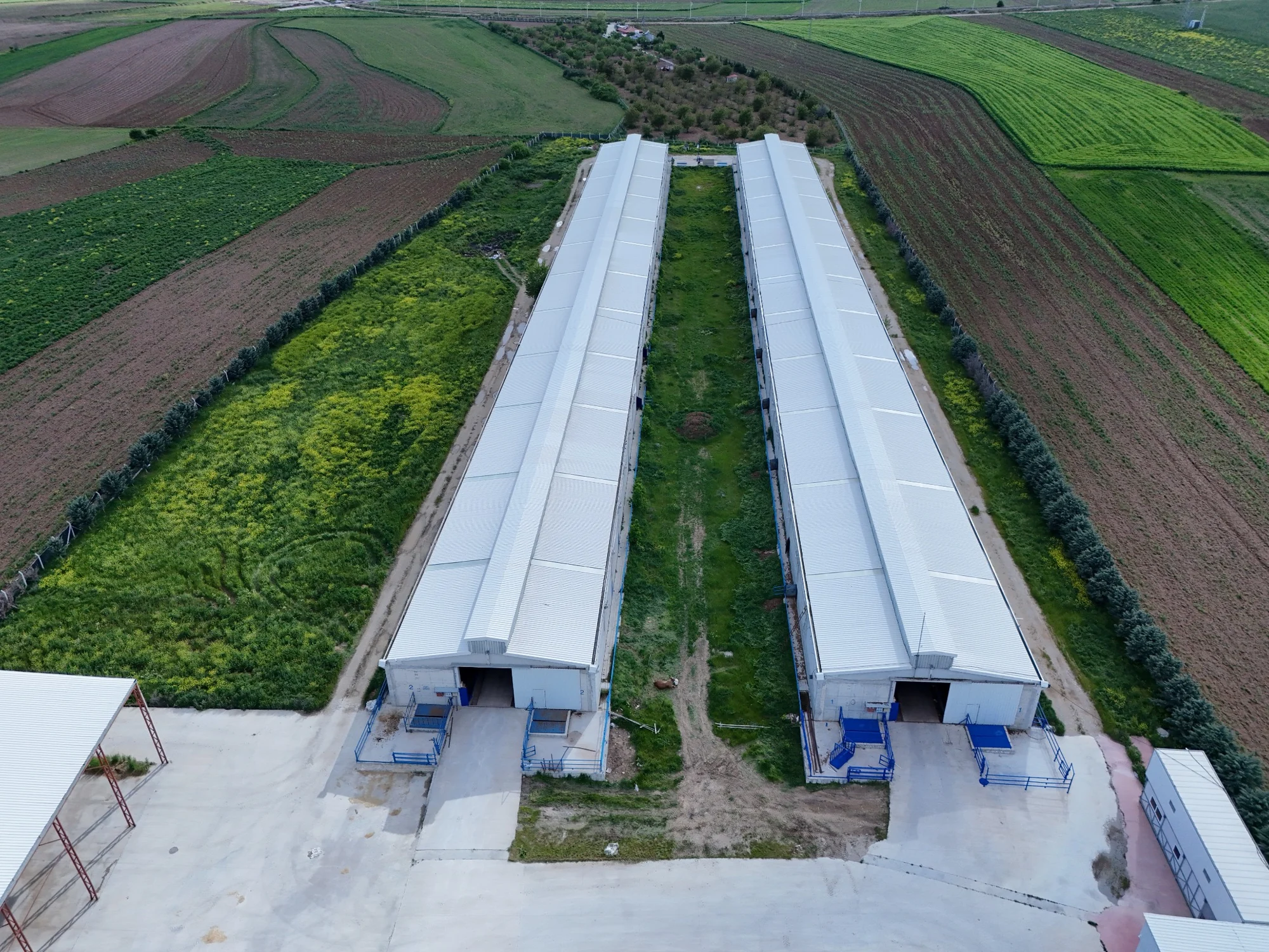 HAS BESİ iki uzun ahır binasının drone görünümü