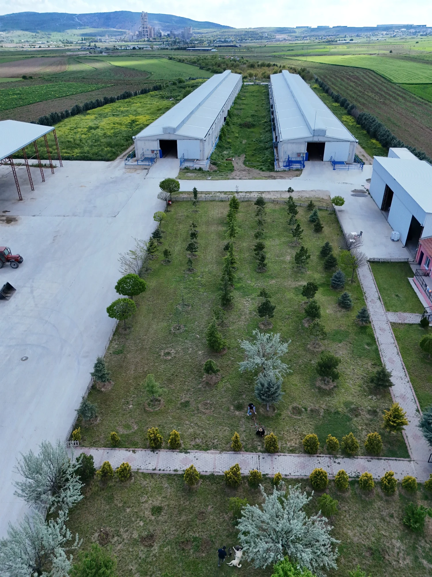 HAS BESİ bahçe ve ahırlarının dikey drone görünümü